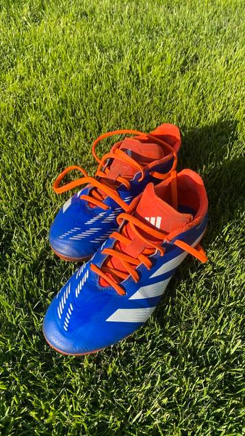 Adidas predator maat 38 beschikbaar voor biedingen