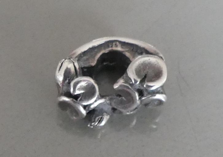 Trollbeads HEMELSE TUIN (People’s bead 2012), Sieraden, Tassen en Uiterlijk, Bedels, Gebruikt, Trollbeads, Zilver, 1 bedel, Verzenden