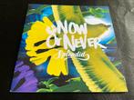 Splendid - Now Or Never (Promo CD Single), Ophalen of Verzenden