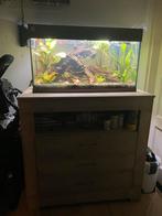 Aquarium met onderkast, Ophalen, Leeg aquarium