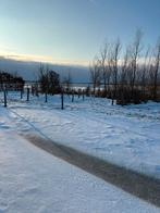 Paddock Paradise pensionstal Ponderosa, Weidegang