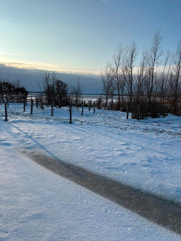 Paddock Paradise pensionstal Ponderosa, Dieren en Toebehoren, Stalling en Weidegang, Weidegang