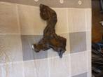 Kienhout, Ophalen of Verzenden, Gebruikt, Plant(en), Steen of Hout