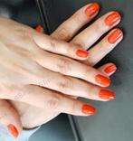 Manicure Nagel acrygel, polygel, Sieraden, Tassen en Uiterlijk, Uiterlijk | Cosmetica en Make-up, Ophalen of Verzenden, Handen en Nagels