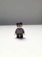 Lego Harry Potter, Kinderen en Baby's, Speelgoed | Duplo en Lego, Ophalen of Verzenden, Zo goed als nieuw