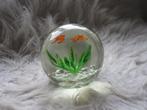 Presse papier Murano aquarium met vissen vintage 8 cm hoog (, Ophalen of Verzenden