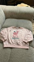 Sweater maat 128 – Fred & Ginger, Kinderen en Baby's, Kinderkleding | Maat 128, ., Ophalen of Verzenden, Zo goed als nieuw, .