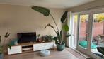 Strelitzia nicolai, Huis en Inrichting, Kamerplanten, Ophalen, 200 cm of meer, Overige soorten, Halfschaduw
