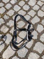 Halster paard, Ophalen of Verzenden, Gebruikt, Dressuur