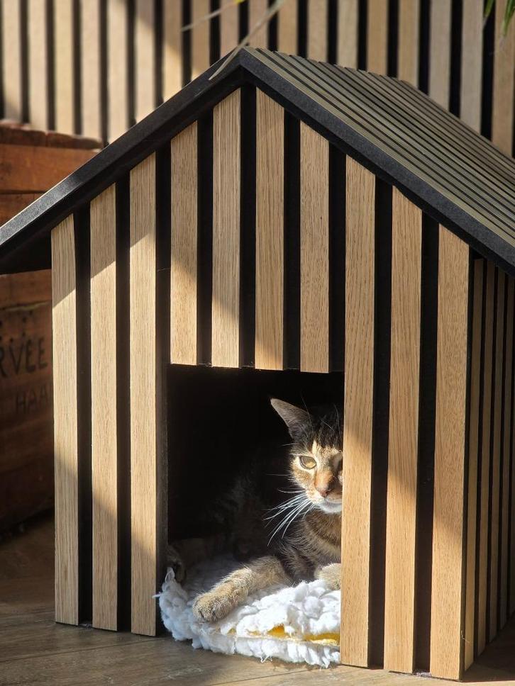 Bieden vanaf 25 euro, comfortabel Katten huis zonder kat, Dieren en Toebehoren, Katten-accessoires, Zo goed als nieuw, Ophalen