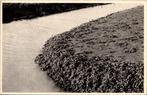 Zeeland -  Schouwen Duiveland mosselen, Verzenden, 1940 tot 1960, Ongelopen, Zeeland