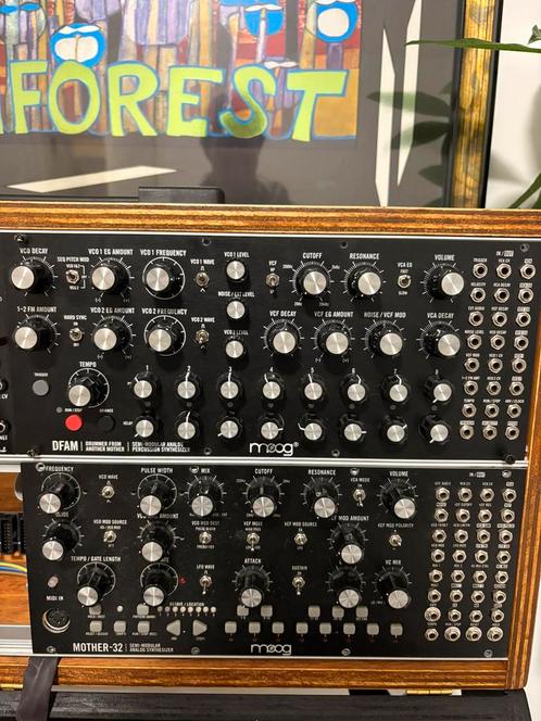 MOOG DFAM & SubHarmonicon combo deal eurorack semi-modular, Muziek en Instrumenten, Synthesizers, Zo goed als nieuw, Overige aantallen