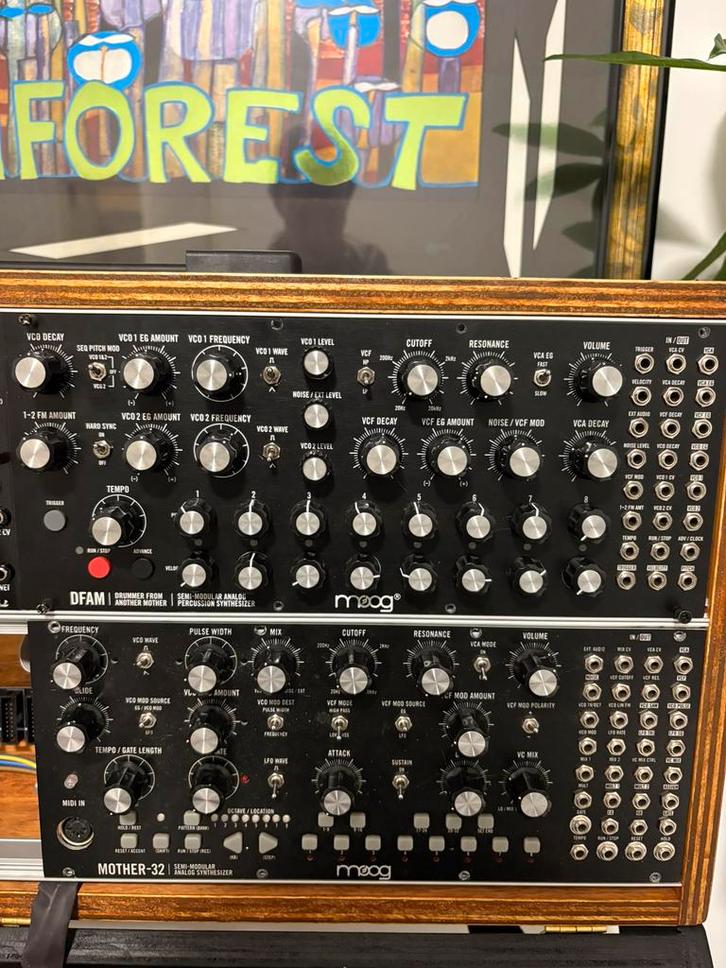 MOOG DFAM & SubHarmonicon combo deal eurorack semi-modular, Muziek en Instrumenten, Synthesizers, Zo goed als nieuw, Overige aantallen