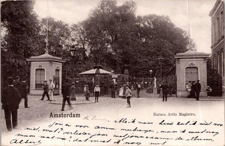 Artis Amsterdam - 8 ansichtkaarten, Verzamelen, Ansichtkaarten | Nederland, Ongelopen, Noord-Holland, Voor 1920, Verzenden