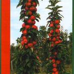 Gezocht: fruitbomen en struiken, Ophalen of Verzenden, Lente