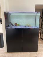 Red sea peninsula 500 G2+ aquarium, Ophalen, Gebruikt, Leeg aquarium