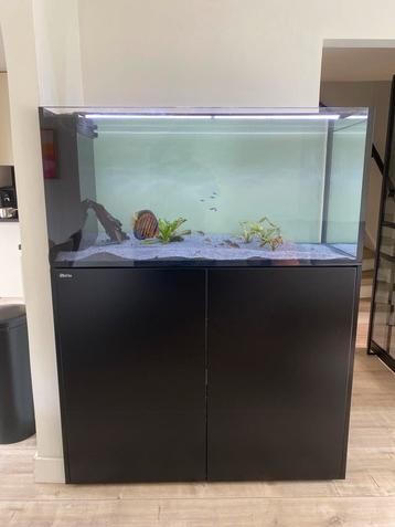 Red sea peninsula 500 G2+ aquarium beschikbaar voor biedingen