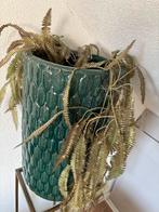 Riverdale & PTMD Vaas met Plant, Huis en Inrichting, Kamerplanten, Overige soorten, In pot, Minder dan 100 cm, Groene kamerplant