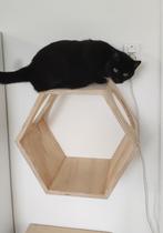 Katten speelhuis HEXANGON, muur bevestigd., 6065ch 7, Segers houtwerken, Bartsegers@gmail.com, Ophalen of Verzenden