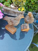 Opgezette vogels  ., Verzamelen, Dierenverzamelingen, Ophalen of Verzenden, Zo goed als nieuw, Vogel, Opgezet dier