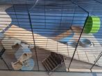 Gerbril/hamster kooi en toebehoren, Dieren en Toebehoren, Knaagdieren, September, Mannelijk, Hamster