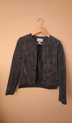 Blazer glitter, Ophalen of Verzenden, Zo goed als nieuw, Maat 34 (XS) of kleiner