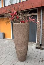 Grote Bloempot beige/steenkleur, Ophalen, Gebruikt, Minder dan 60 cm, Overige vormen