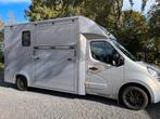 Te huur: Paarden vrachtwagen, Verhuiswagen of Bestelauto