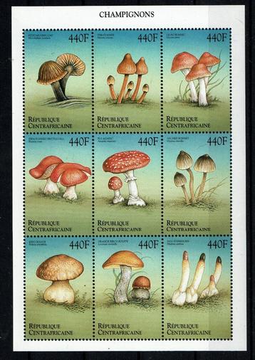 c.afrika 1999 pf blok paddenstoelen mushrooms flora beschikbaar voor biedingen