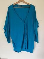 Prachtig vest Juffrouw Jansen- maat L, Blauw, Trui of Vest, Ophalen of Verzenden, Zo goed als nieuw