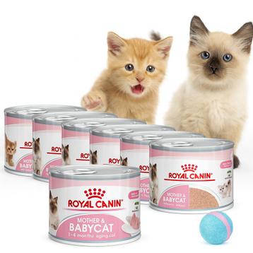 Royal Canin Mother & Babycat – voor kittens én hun mama's beschikbaar voor biedingen
