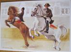 voor het kind - hogeschool paardrijden - 1980  -  nieuw, Verzamelen, Ansichtkaarten | Themakaarten, Verzenden, 1980 tot heden