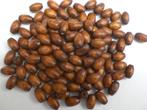 500 x Houten kralen 8x5mm bruin, Verzenden, Nieuw, Kraal