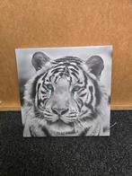Canvas schilderij witte tijger, Ophalen of Verzenden