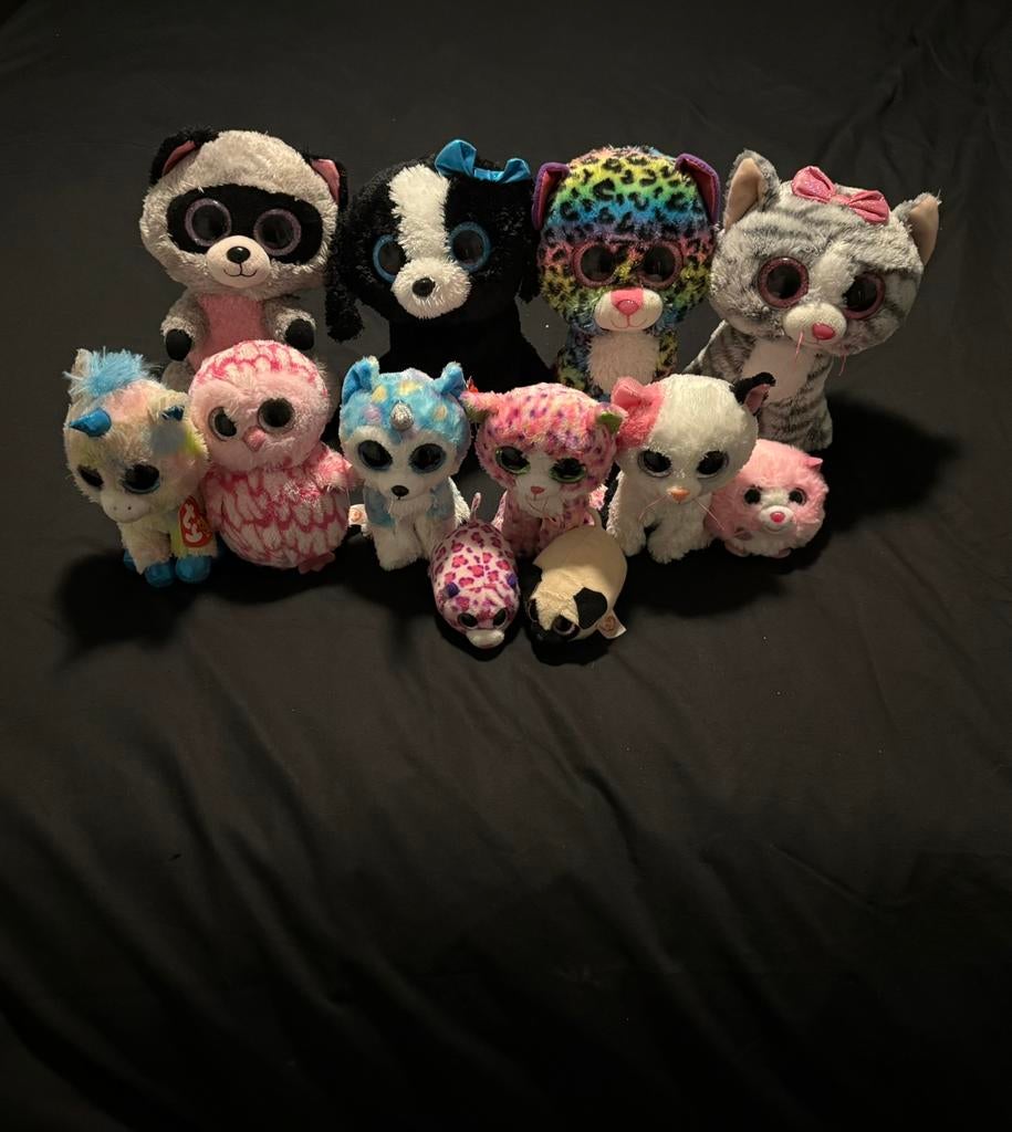 TY knuffels 12stuks, Ophalen of Verzenden, Zo goed als nieuw, Overige typen