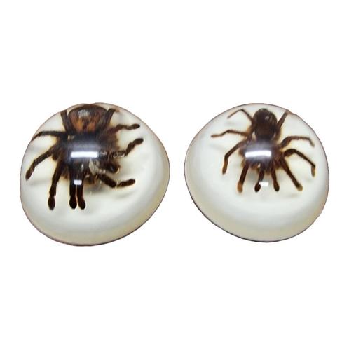 Vintage opgezette vogelspinnen in epoxy USA, Verzamelen, Dierenverzamelingen, Zo goed als nieuw, Opgezet dier, Insect, Ophalen of Verzenden