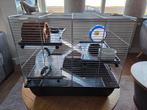 Hamsterkooi, Dieren en Toebehoren, Minder dan 60 cm, Kooi, Gebruikt, Minder dan 75 cm