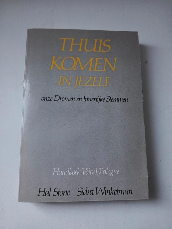 Thuiskomen in jezelf - Hal en Sidra Stone, Boeken, Psychologie, Zo goed als nieuw, Ophalen of Verzenden