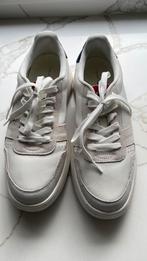 Tommy hilfiger schoen heer, Ophalen of Verzenden, Zo goed als nieuw, Hardloopschoenen, Overige merken