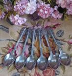 Set van 6 brocante koffielepels, roosjes, roestvrij metaal, Ophalen of Verzenden
