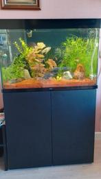Ciano aquarium  compleet, Ophalen, Zo goed als nieuw, Gevuld zoetwateraquarium