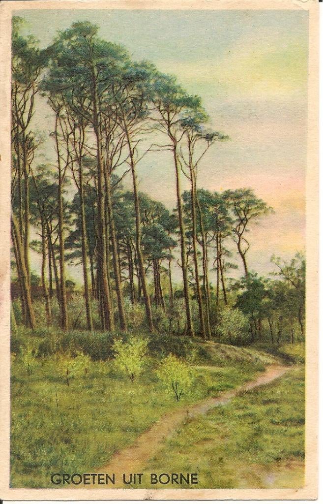 Groeten uit Borne., Verzamelen, Ophalen of Verzenden, 1940 tot 1960, Ongelopen, Overijssel