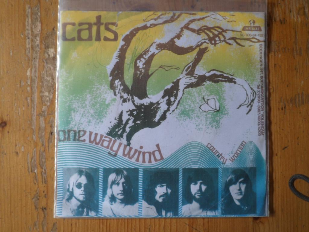 Cats, Cd's en Dvd's, Vinyl Singles, Ophalen of Verzenden, Gebruikt, Pop
