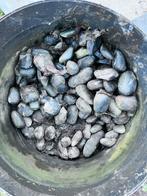 Grind, Tuin en Terras, Grind, Keien en Split, Ophalen, Gebruikt