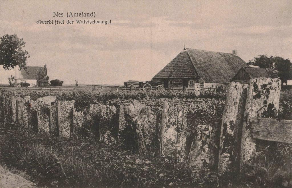 Nes Ameland Overblijfsel der Walvischvangst OM380, Ophalen, 1920 tot 1940, Gelopen, Waddeneilanden