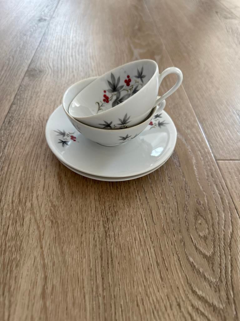 Kop en schotel 2x Seltmann Weiden West Germany, Ophalen