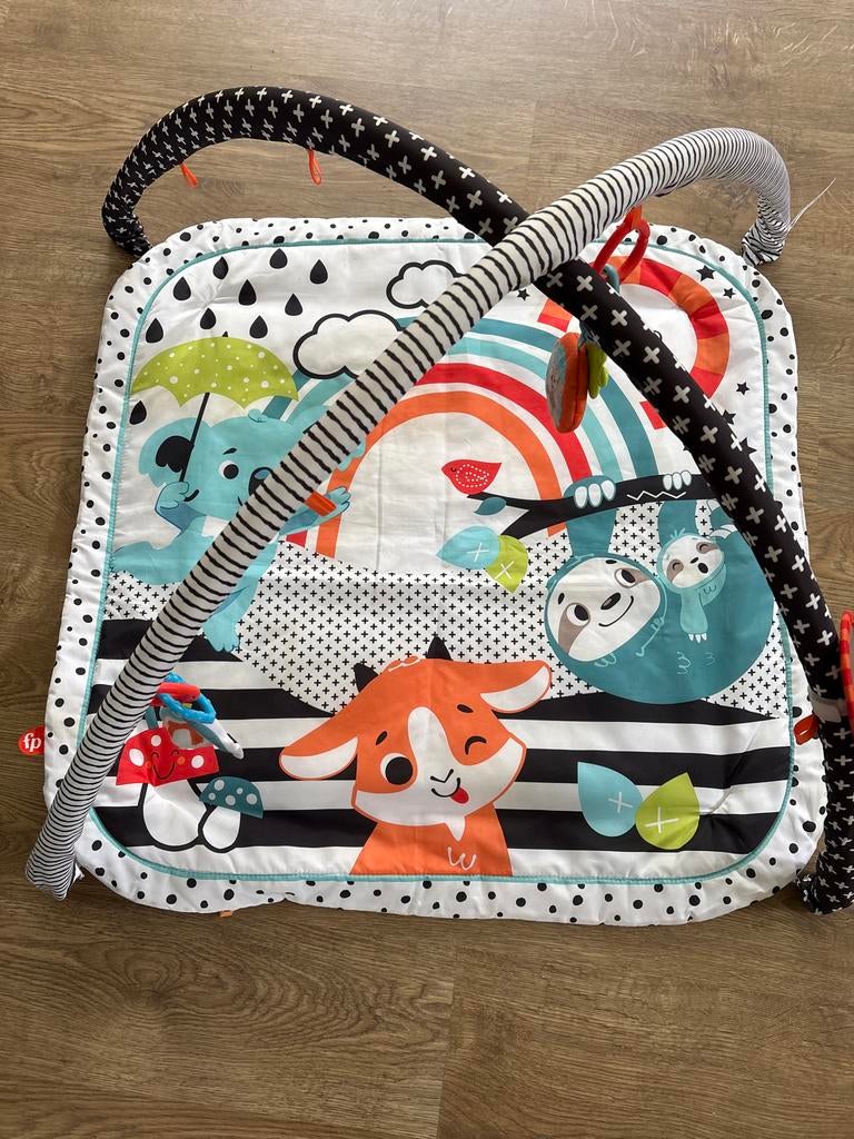 Fisher-Price speelkleed met bogen, Ophalen, Gebruikt