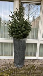 Stenen plantenbakken, Ophalen, Steen, Gebruikt, Binnen