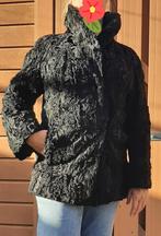 Korte ASTRAKAN Damesconfectiemaat 38 - CARACUL BONT, Maat 38/40 (M), Overige typen, Exclusief Pelterijen, Zwart