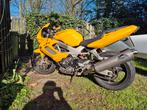 Honda VTR1000 Firestorm, 2 cilinders, Sportuitlaat, Motorrijbewijs A, Super Sport